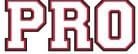 Practice Pro Softball Clinics